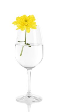 su üzerinde beyaz izole çiçek