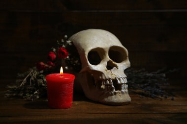 kafatası, kurutulmuş ot ve ahşap zemin üzerinde mum ile kompozisyon