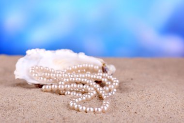güzel inci kabuğu üzerinde kum, yakın çekim