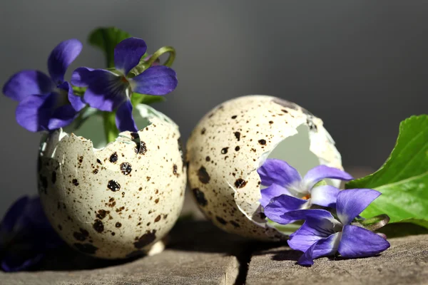 Великодня композиція з фіолетовими квітами в яєчних мушлях, крупним планом — стокове фото