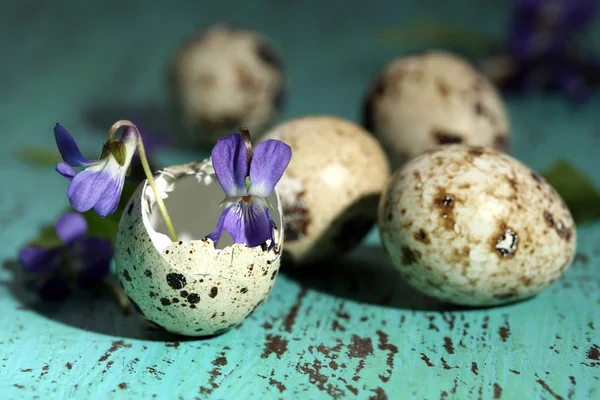 Paskalya yumurta kabukları ahşap masa üzerinde Menekşe çiçeği ile kompozisyon — Stok fotoğraf