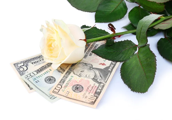Beautiful rose and money, isolated on white — Stockfoto