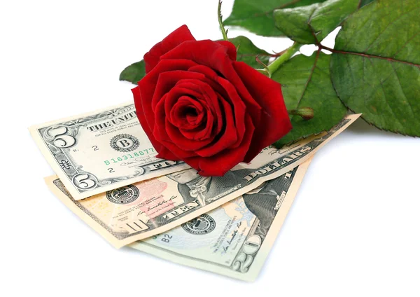 Beautiful rose and money, isolated on white — Stock Photo, Image