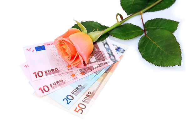 Beautiful rose and money, isolated on white — Stockfoto