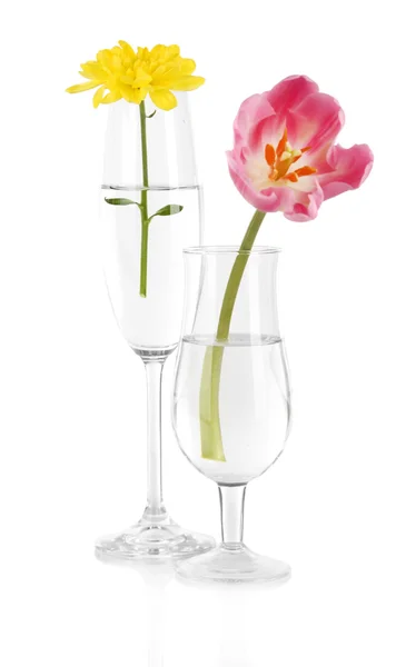 Flores em copos de água isolados em branco — Fotografia de Stock
