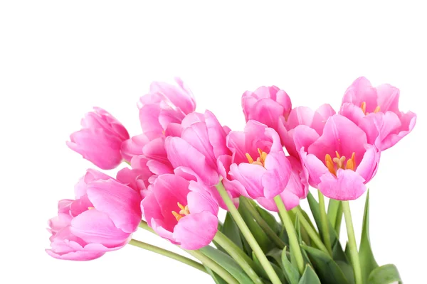 Beautiful pink tulips, isolated on white — Stock Photo, Image