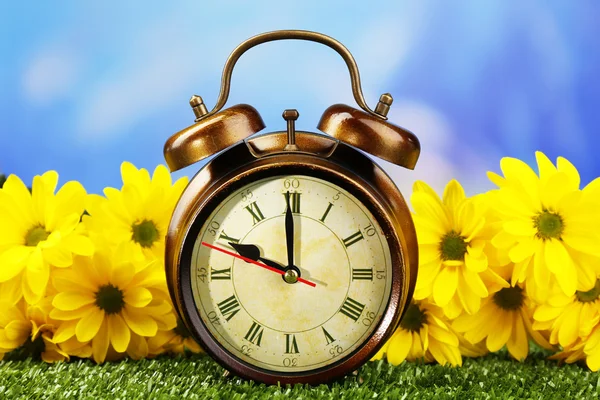 Alarm clock on green grass, on nature background — Stock Photo, Image