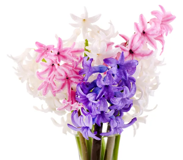 Schöne Hyazinthen in der Vase isoliert auf weiß — Stockfoto
