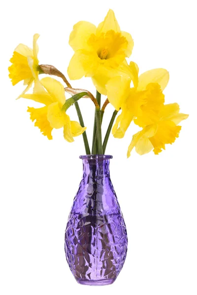 Schöne Blumen in der Vase isoliert auf weiß — Stockfoto