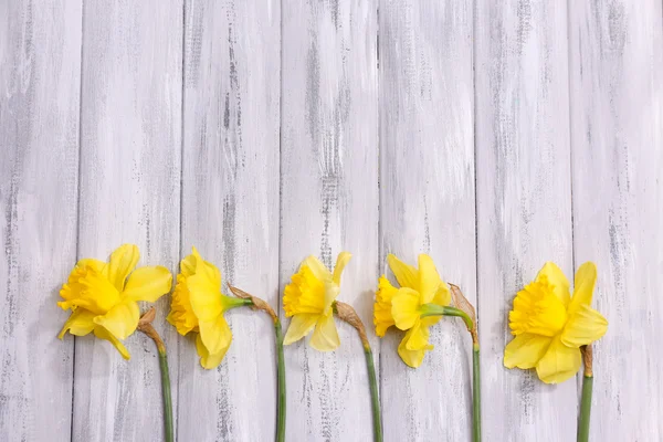 Krásné květiny na barevné dřevěné pozadí — Stock fotografie