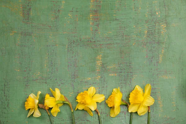 Beautiful flowers on color wooden background — Stock Photo, Image