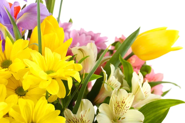 Beautiful flowers close up — Stock Photo, Image