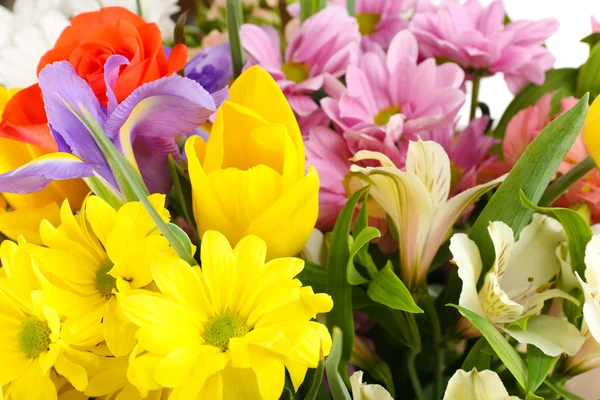 Beautiful flowers close up — Stock Photo, Image