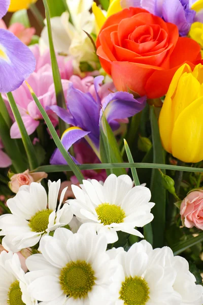 Beautiful flowers close up — Stock Photo, Image