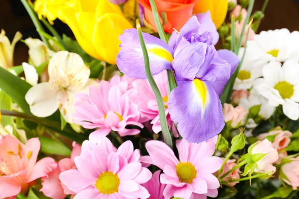 Krásné květiny zavřít — Stock fotografie