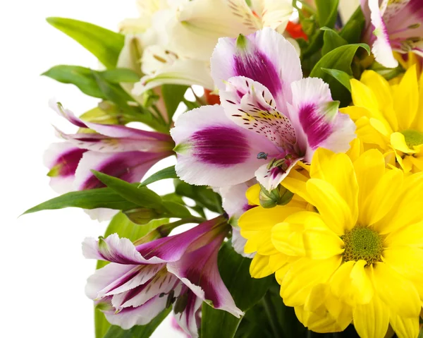 Hermosas flores de cerca — Foto de Stock