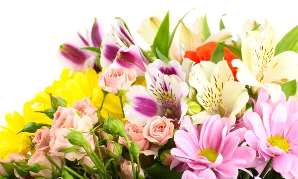 Hermosas flores aisladas en blanco —  Fotos de Stock