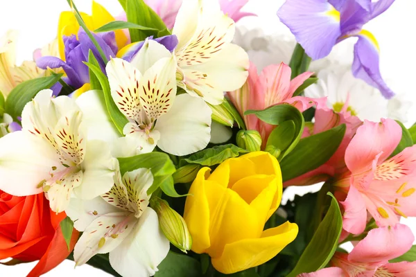 Schöne Blumen aus nächster Nähe — Stockfoto