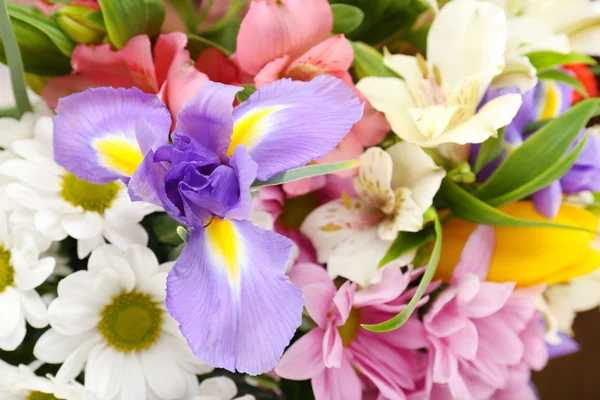 Flores bonitas fechar — Fotografia de Stock