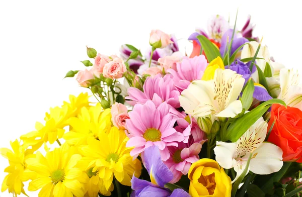 Mooie bloemen geïsoleerd op wit — Stockfoto