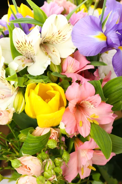 Beautiful flowers close up — Stock Photo, Image