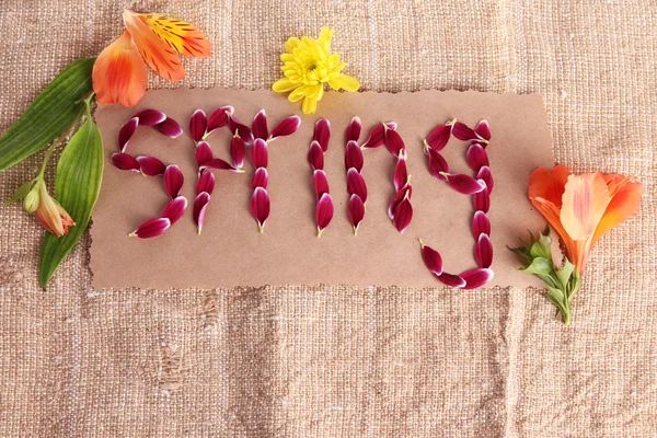 Romantyczna wiosna litery wykonane z płatki różowy, na tle worze — Zdjęcie stockowe
