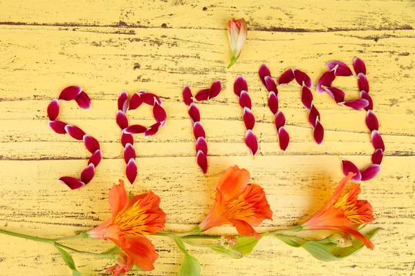 Letras románticas de primavera hechas de pétalos rosados, sobre fondo de madera de color — Foto de Stock