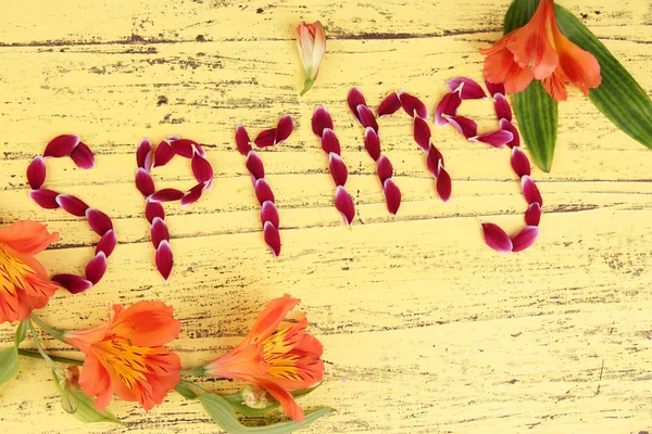 Letras románticas de primavera hechas de pétalos rosados, sobre fondo de madera de color — Foto de Stock