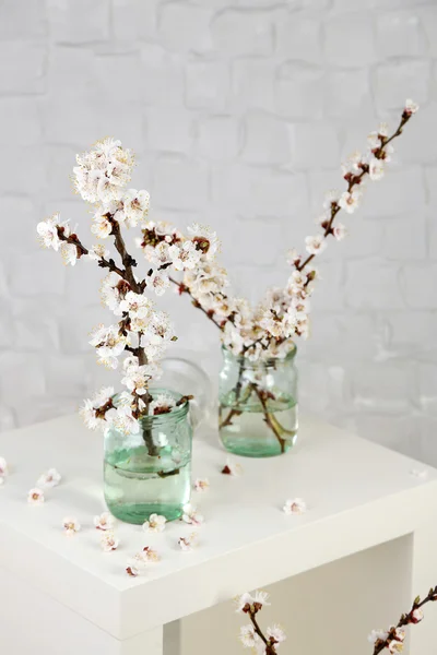 Beautiful apricot blossom in transparent jars on grey wall background — Stock Photo, Image