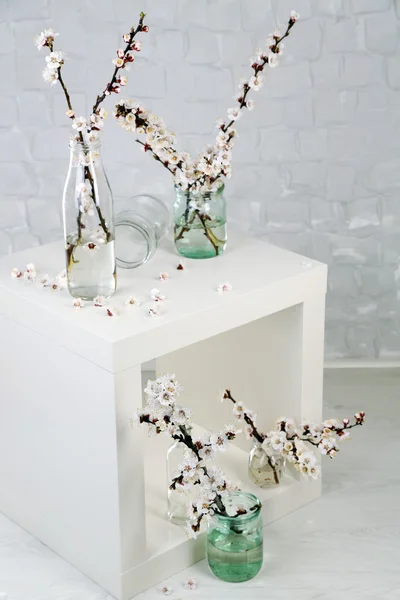 Beautiful apricot blossom in transparent jars on grey wall background — Stock Photo, Image