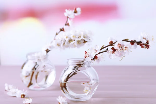 Hermosa flor de albaricoque en frascos transparentes sobre mesa de madera, sobre fondo claro —  Fotos de Stock