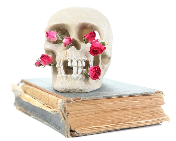 Calavera y rosas secas en libro viejo aislado en blanco — Foto de Stock