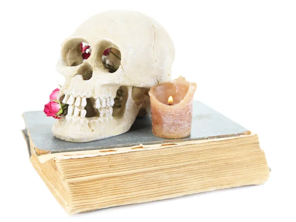 Crâne avec roses séchées sur vieux livre et bougie isolée sur blanc — Photo