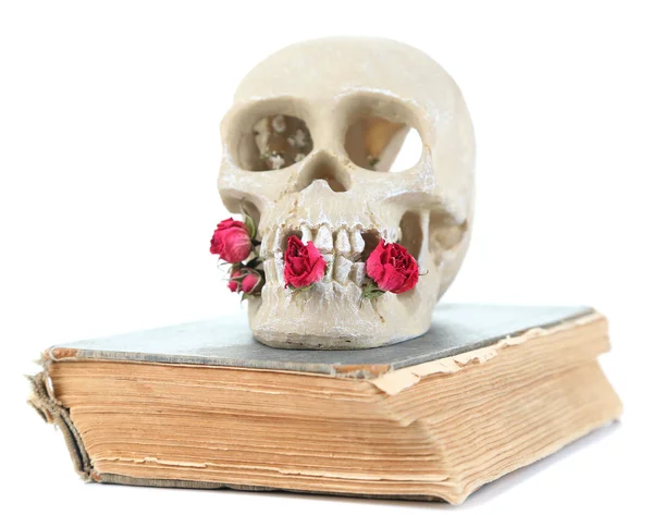 Caveira e rosas secas em livro velho isolado em branco — Fotografia de Stock