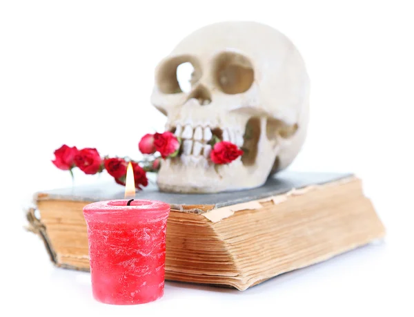 Totenkopf mit getrockneten Rosen auf altem Buch und Kerze isoliert auf weiß — Stockfoto