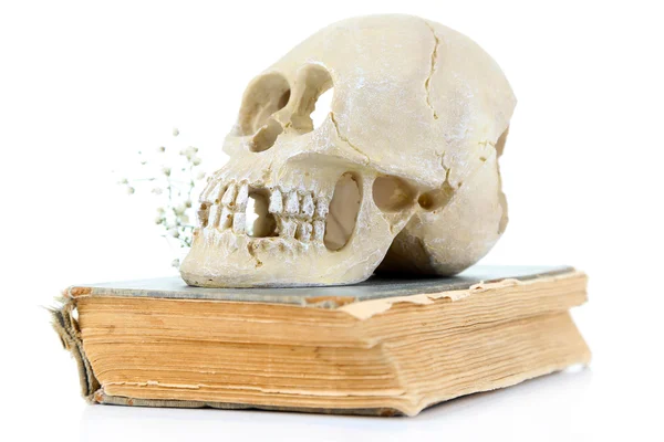 Crânio no livro velho isolado em branco — Fotografia de Stock