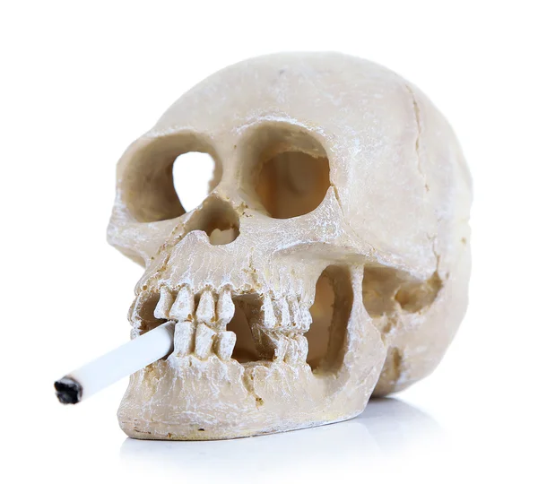 Skull with cigarette isolated on white — Stock Photo, Image