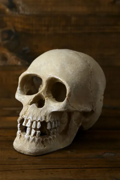 Skull on wooden background — Stock Photo, Image