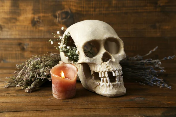 Composition with skull, dried herbs and candle on wooden background — Stock Photo, Image