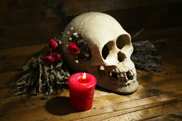 Composition with skull, dried herbs and candle on wooden background — Stock Photo, Image