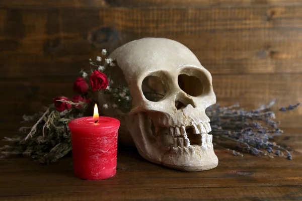 Composition with skull, dried herbs and candle on wooden background — Stock Photo, Image