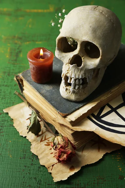 Teschio su vecchio libro, candela e rosa secca su sfondo di legno a colori — Foto Stock