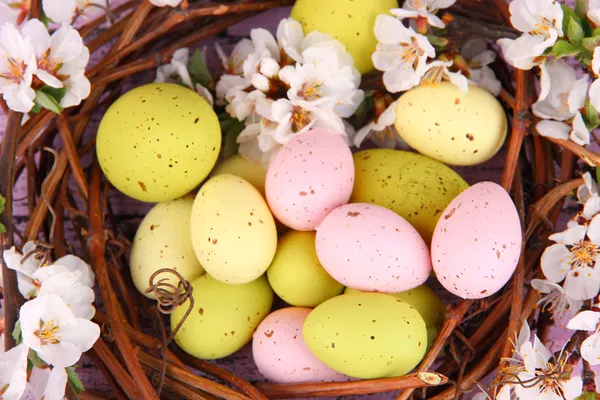 Composición con huevos de Pascua y ramas florecientes en nido, sobre fondo de madera —  Fotos de Stock