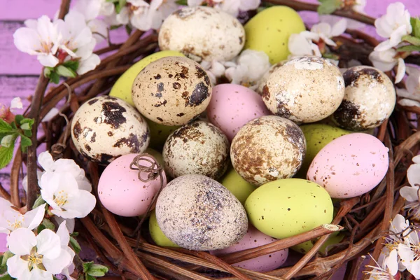 Paskalya yumurtaları ve yuvada ahşap zemin üzerinde çiçek açan dalları ile kompozisyon — Stok fotoğraf