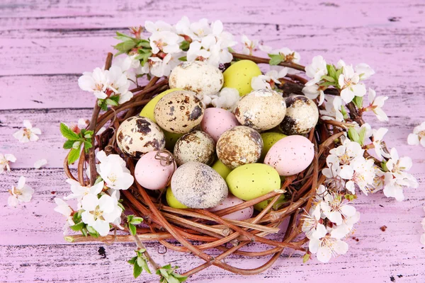 Composición con huevos de Pascua y ramas florecientes en nido, sobre fondo de madera —  Fotos de Stock