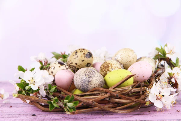 Состав с пасхальными яйцами и цветущими ветвями в гнезде, на деревянном фоне — стоковое фото
