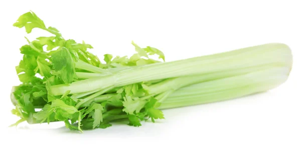 Fresh green celery isolated on white — Stock Photo, Image