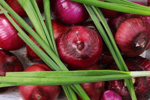 Different raw onion, close up — Stock Photo, Image