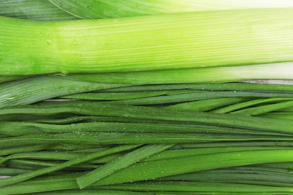 Green onion, close up — Stock Photo, Image