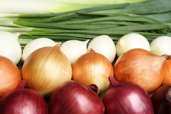 Different raw onion, close up — Stock Photo, Image